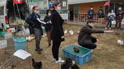 移動動物園１.JPG