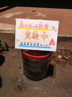20130704ｍ04.jpg