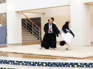 aikido2012.jpg